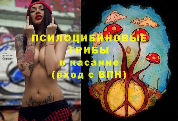 MESCALINE Белокуриха